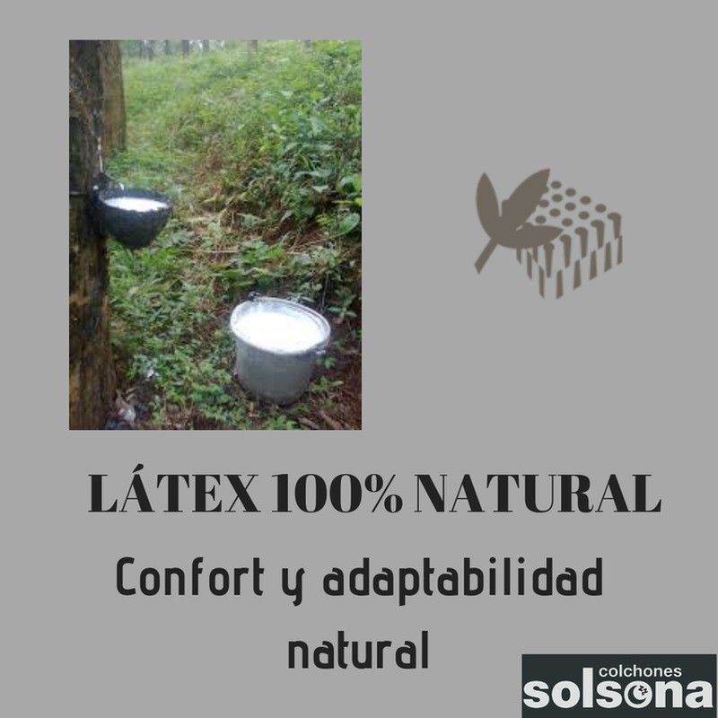 Látex 100% Natural: un valor añadido