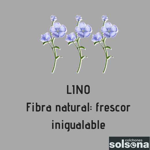 EL LINO: EL FRESCOR HECHO FIBRA