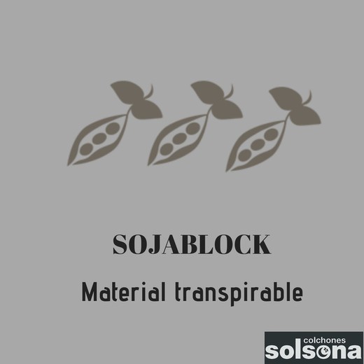 SojaBlock: un material natural