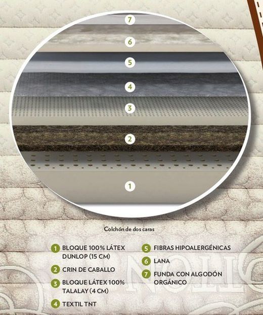 Colchón Natur Talalay Articulado Dorwin marca Flex